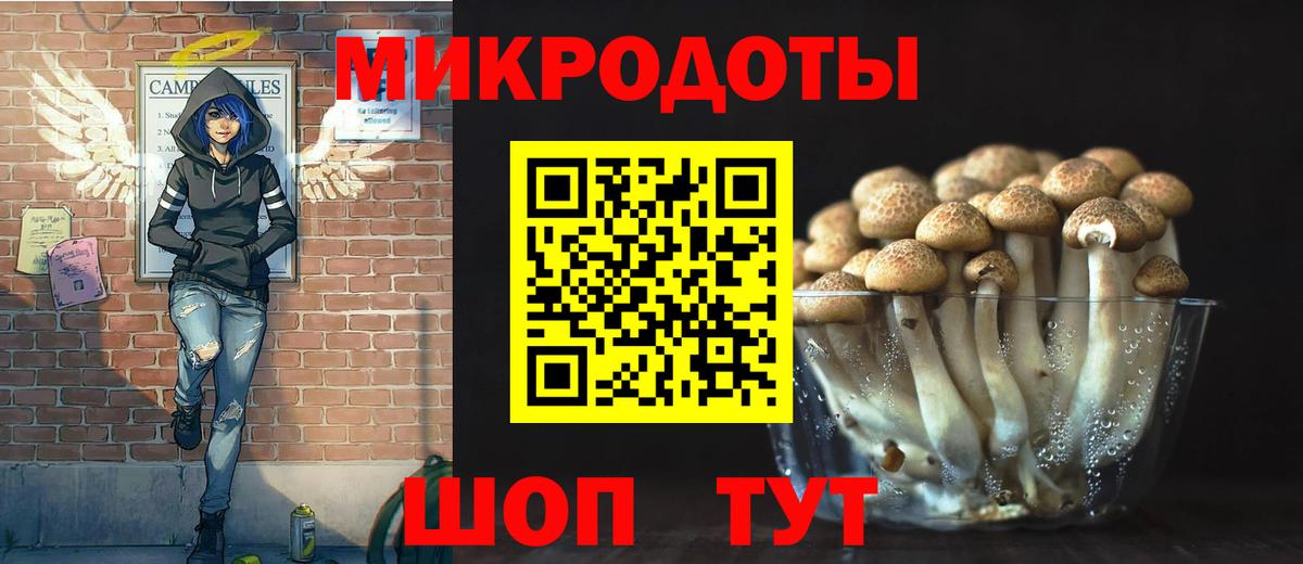 Галлюциногенные грибы Psilocybine cubensis Брянск