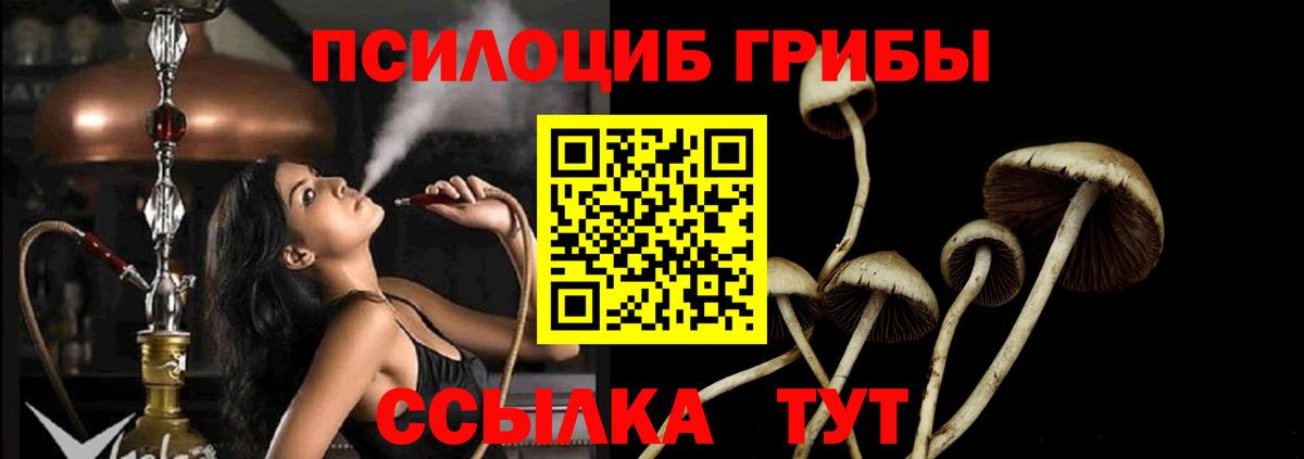 Брянск  Псилоцибиновые грибы MAGIC MUSHROOMS  дарнет шоп  Вход с VPN 